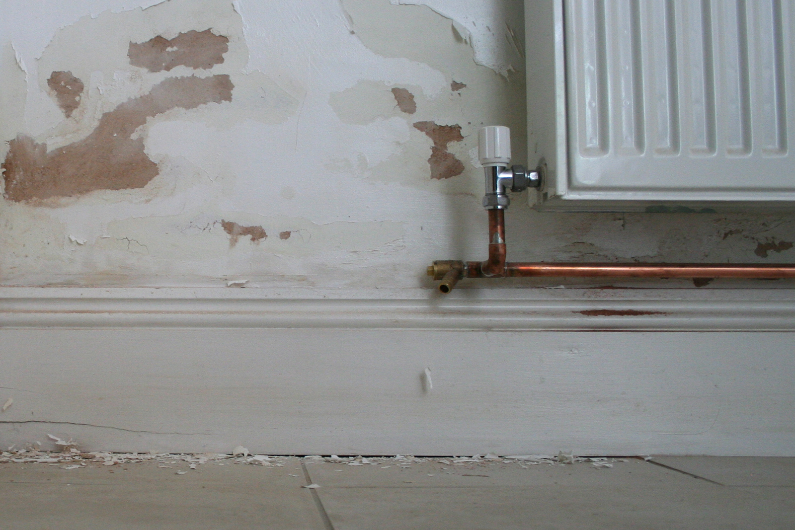 Rising damp