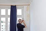 A landlord surveying damp and mould in a property