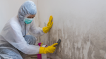 A contractor in full protective gear cleans a mouldy wall