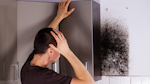 mould-the-mental-and-physical-effects-featured