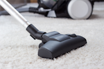 Regular Vacuuming is important to getting rid of Carpet Beetles