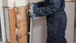 Fully remove all contaminated plaster