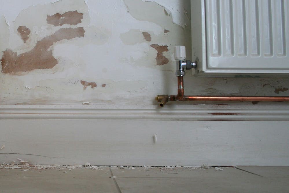 Damp Walls, How To Cure A Damp Basement