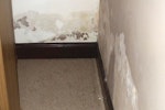 Example image of wallpaper peeling due to rising damp