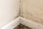 Example image of mould exacerbated by rising damp