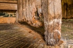 Wet wood rot decay on timber in old stable block