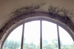 Mould growth caused by condensation