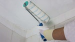 Applying Dryzone Mould-Resistant Emulsion Paint