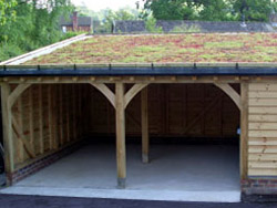 Sloping green roof