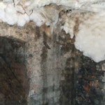 Dry Rot in Basement