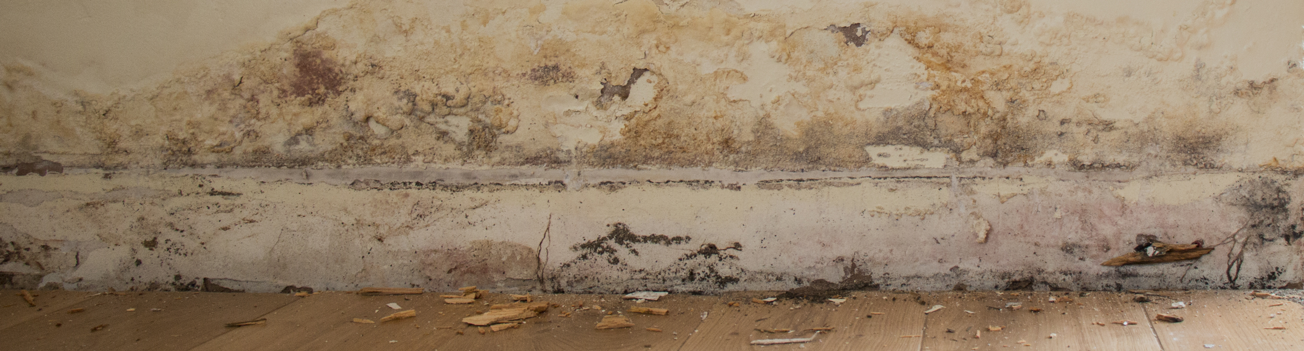 Rising Damp Causes And Treatment   Rising Damp Cpd Seminar 