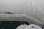 Mould in bedrooms