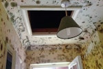 Black mould grows on walls and ceilings