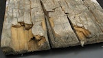 Dry rot on a plank of wood
