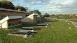 Green roofs (flat)