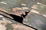 A hole and rusty nails on rotten wooden deck with lichen growing. Wood deck board architecture and damage repair. Home improvement, renovation and refurbishment product concept.