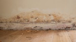 Rising Damp: Causes and Treatment