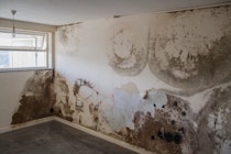 An example of penetrating damp