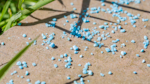 NOPE! Ant Killer Granules on a garden patio