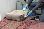 NOPE! Flea Killer Powder held by a man with blue gloves beside an empty dog bed.