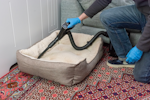 Vacuuming pet bedding after NOPE! Flea Killer Powder use.