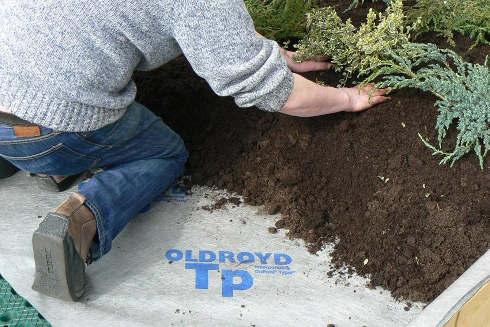 Green roof filtration layer