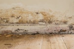 Rising damp signs - Decaying skirting board