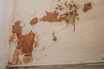 Rising damp signs - Peeling and blistering of wallpapers and paints