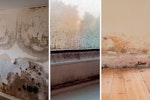 Types of dampness in buildings