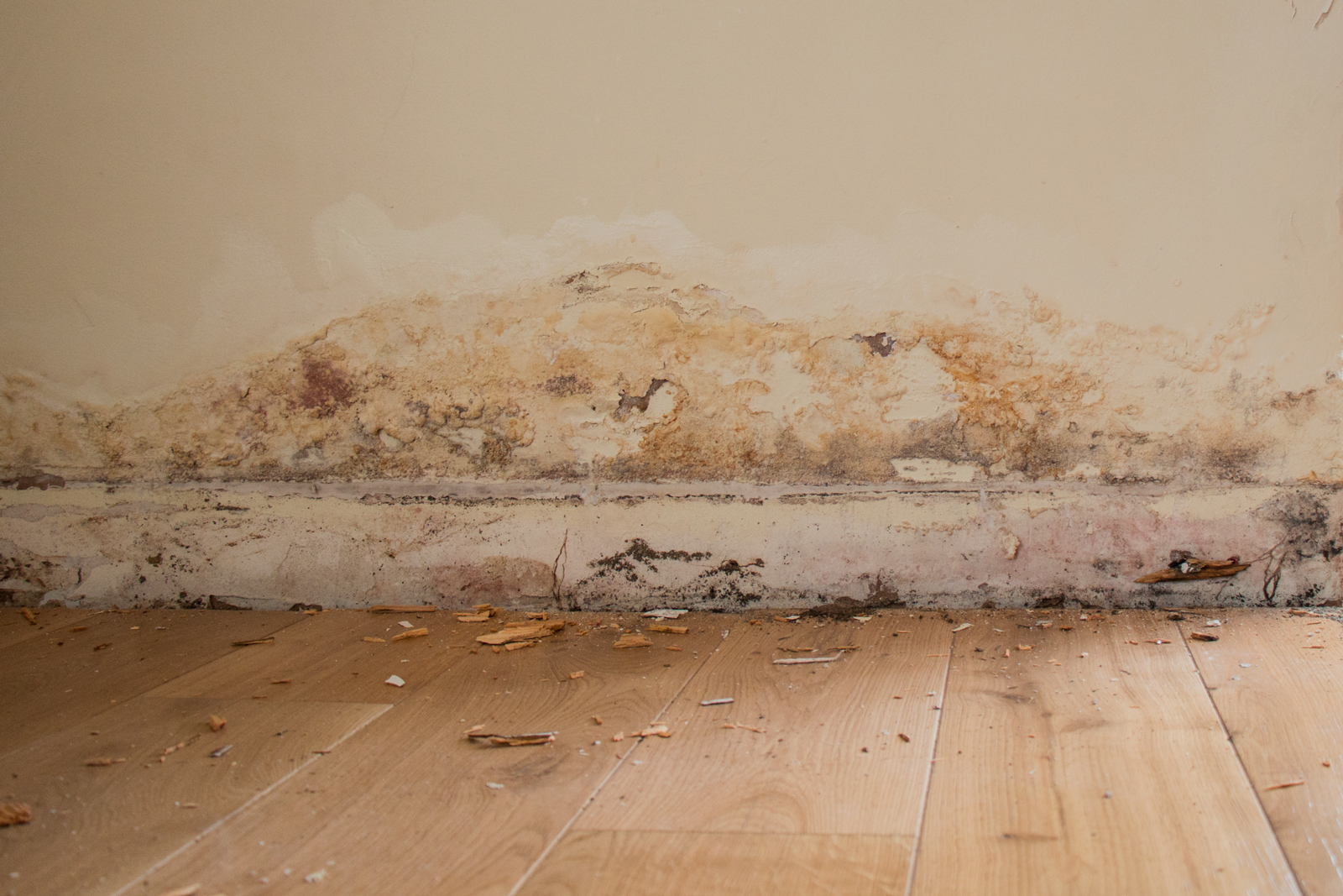 how-to-get-rid-of-damp-in-a-flat