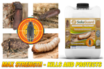 Soluguard Woodworm Treatment kills and protects at all stages of the lifecycle