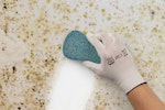 A sponge wiping away mould on a wall