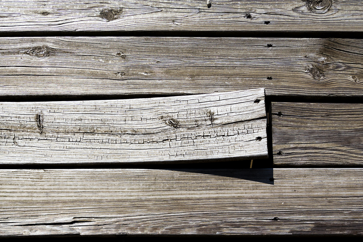 Timber Treatment How to treat indoor & outdoor wood Safeguard Europe